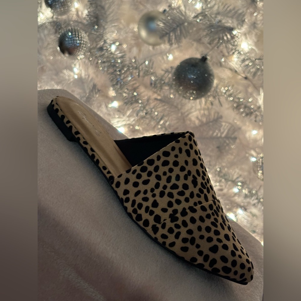 Polka dot flat